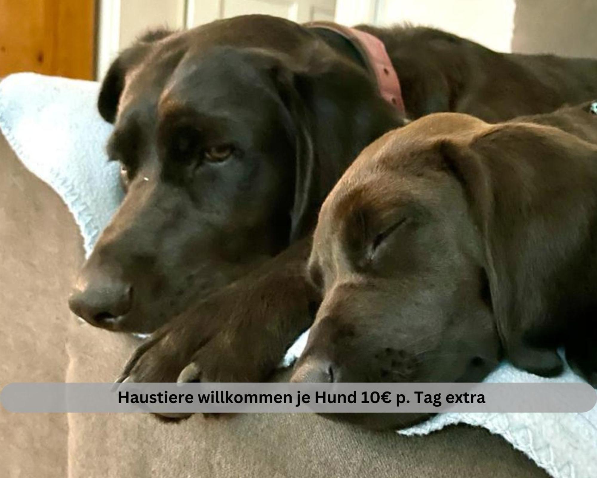 Lodge Of Africa - Einzigartige Themenzimmer, Eingezaeunten Garten, Sauna, Whirlpool & Kamin, Hunde Willkommen, Gasgrill, Voll Ausgestattete Kueche, Grosser Essbereich, Hamburg & Stade In Der Naehe Twielenfleth Экстерьер фото