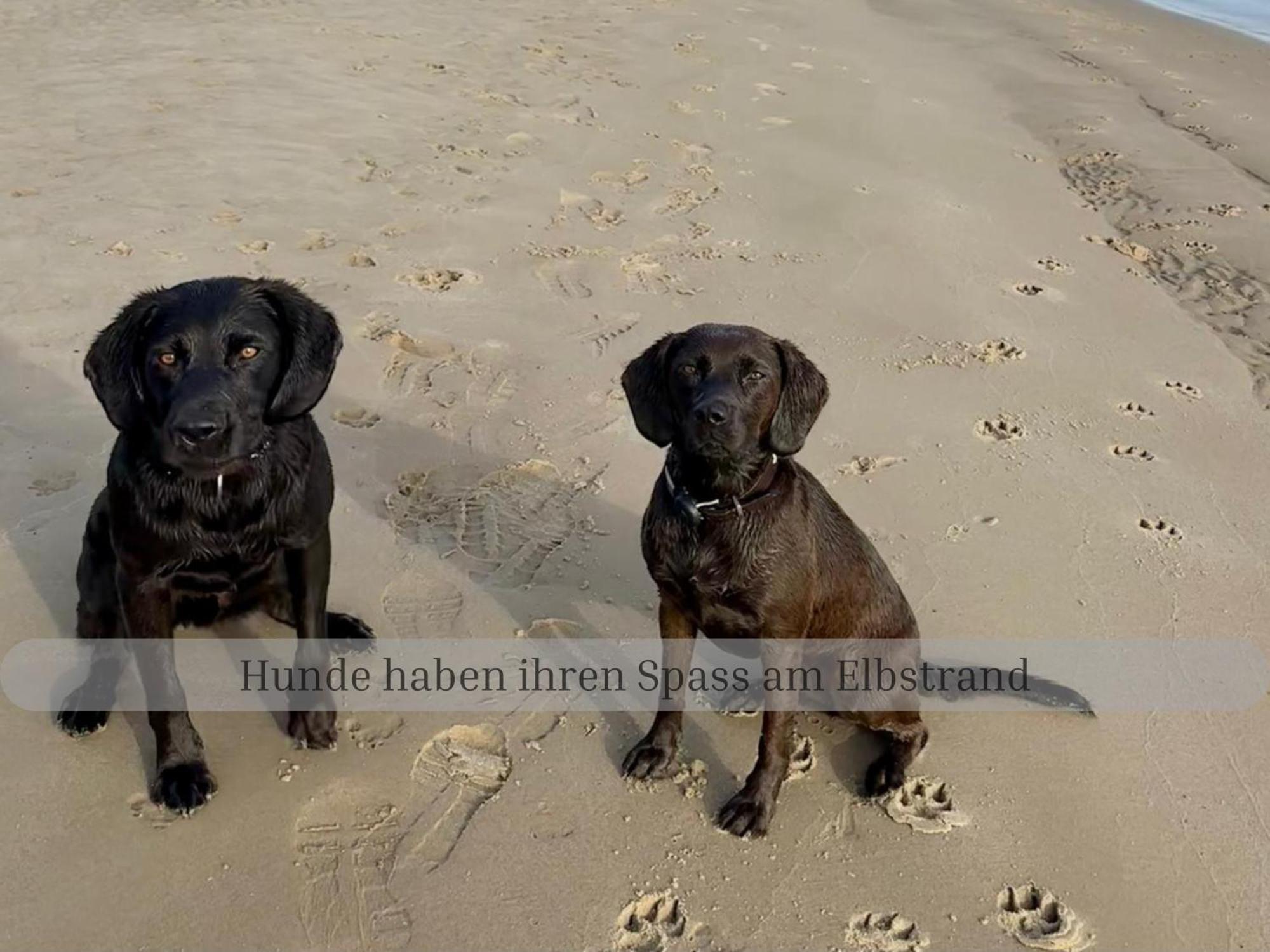 Lodge Of Africa - Einzigartige Themenzimmer, Eingezaeunten Garten, Sauna, Whirlpool & Kamin, Hunde Willkommen, Gasgrill, Voll Ausgestattete Kueche, Grosser Essbereich, Hamburg & Stade In Der Naehe Twielenfleth Экстерьер фото
